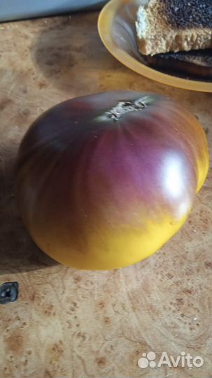 Семена коллекционных сортов томатов