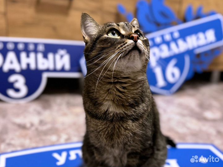 Тaбличка для домa