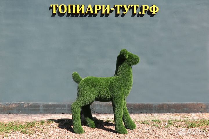 Топиари Топиарные фигуры Садовые фигуры