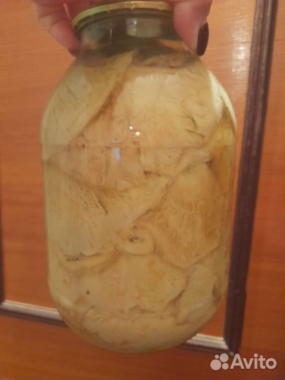 Грибы грузди соленые