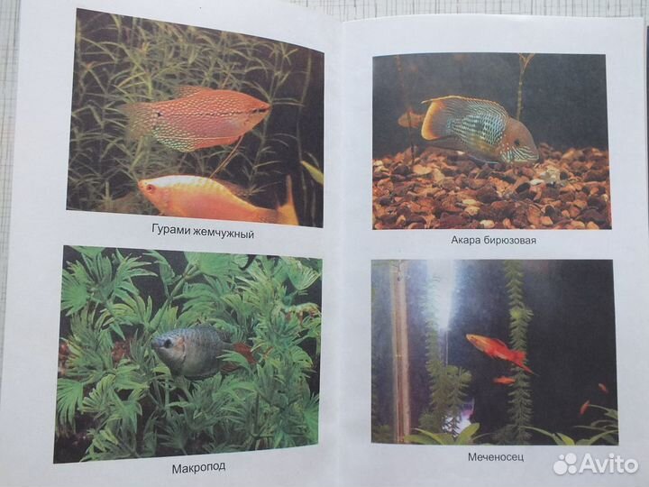 Энциклопедия аквариумиста иллюстрированная