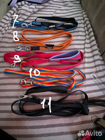 Амуниция для собак