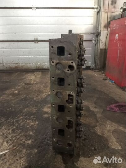 Гбц газон next