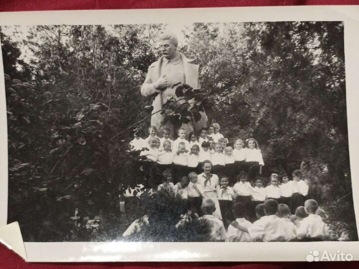 Фотографии