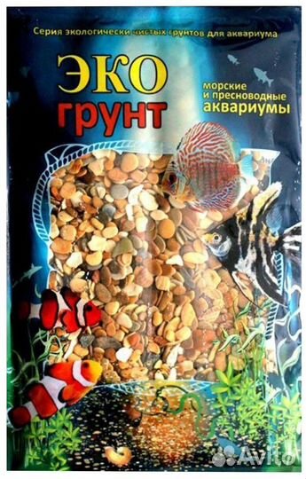 Сапфировые попугаи