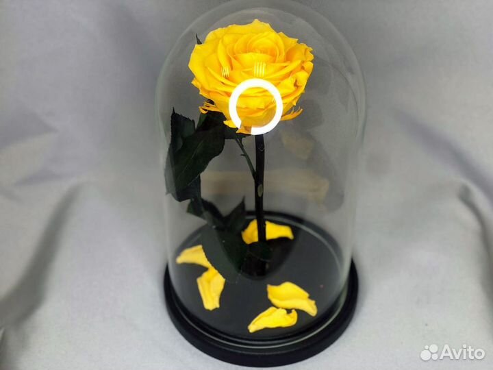 Вечная роза в колбе