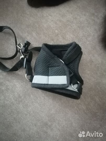 Шлейка для кошки