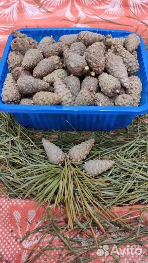 Средство от инсульта профилактика