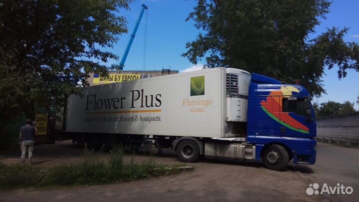 Michelin Pilot Alpin PA4 245/45 R18 100V