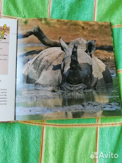 Книга про животных