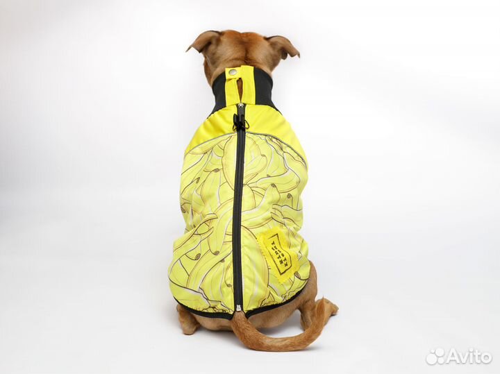 Жилетка для собак