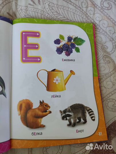 Книга Годовой курс занятий 2-3 года