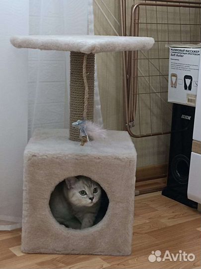 Домик для кошки