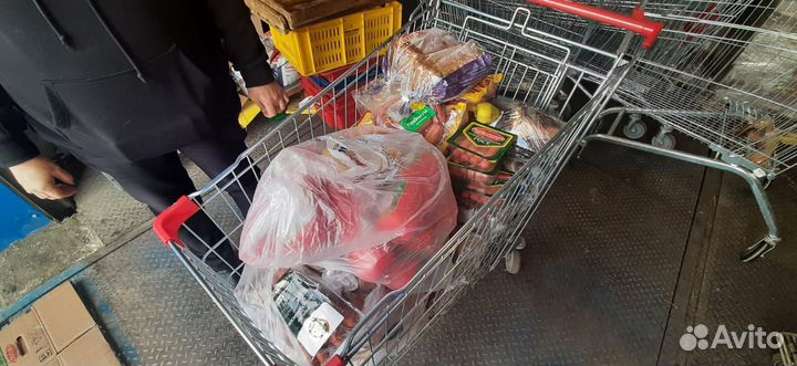 Продукция на корм животным