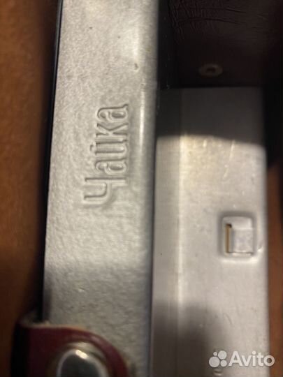 Фотовспышка чайка