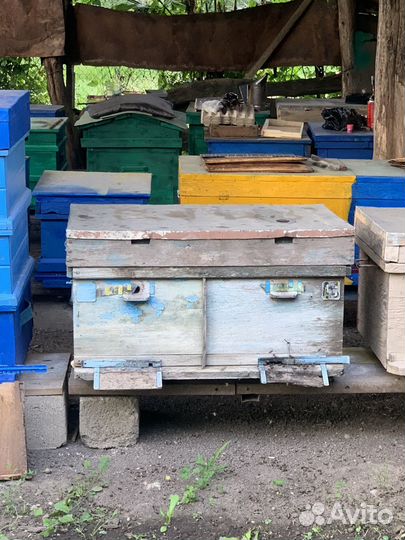 Улей для пчел