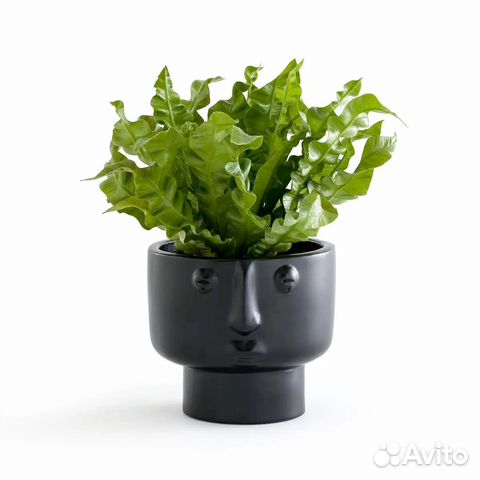 Кашпо для цветов LaRedoute