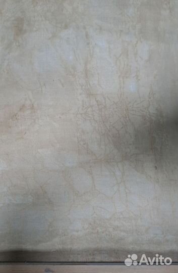 Картина П.Рубенс. Союз Земли и Воды.Копия 1906