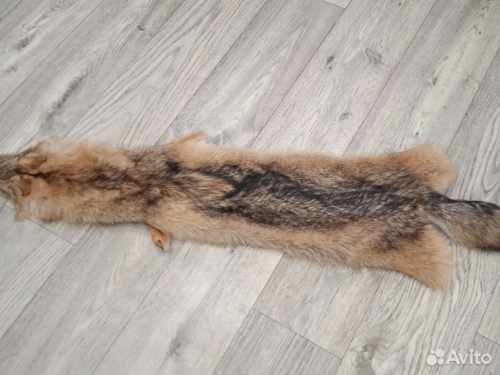 Мех волка на опушку капюшона