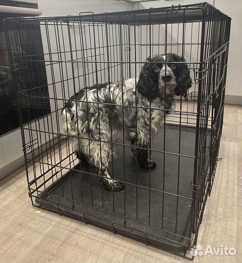 Клетка для собак