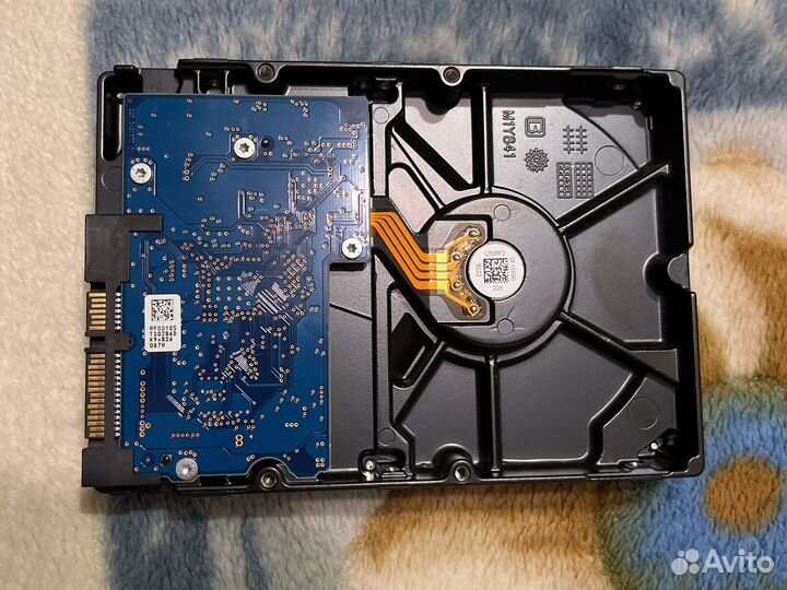 Жесткий диск Toshiba P300 1 тб