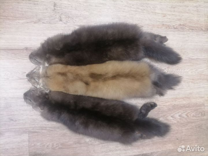 Соболь. Пушнина