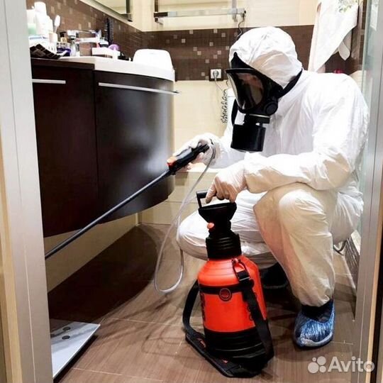 Средство для Уничтожения клопов Дезинсекции тараканов