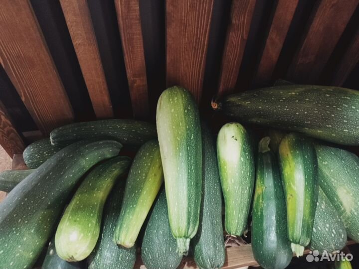 Тыква и кабачки