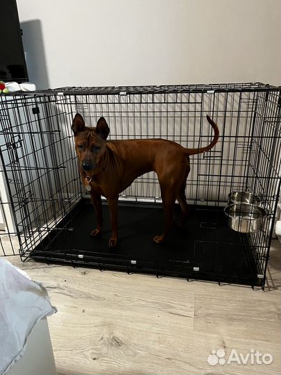 Клетка для собак 5 размер Leo Factory