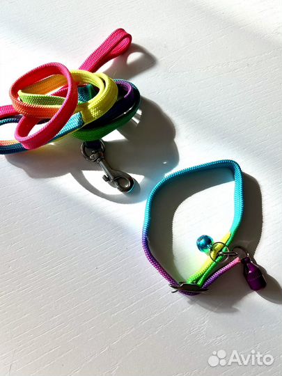 Ошейник и поводок для маленькой собаки