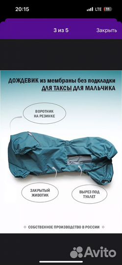 Дождевик для таксы мальчика