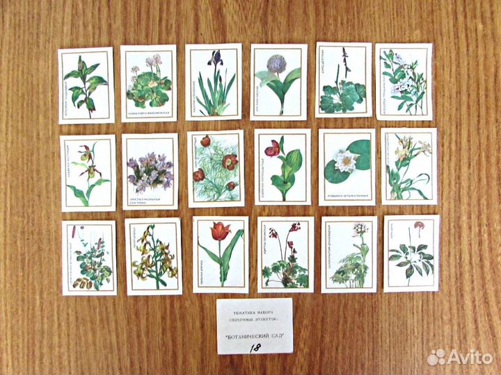 Спичечные этикетки СССР. Деревья, цветы и др. темы