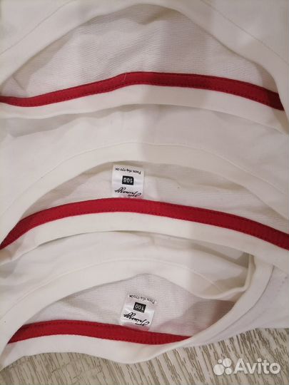 Фемилли лук 3 шт