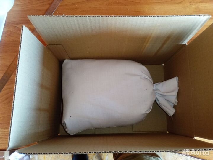 Чага березовая от сборщика