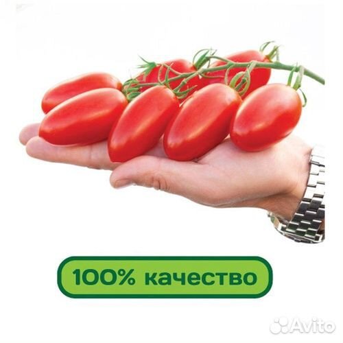 Семена агрофирмы Партнер