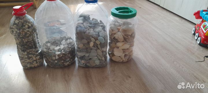 Галька и ракушки