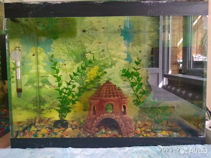 Аквариум