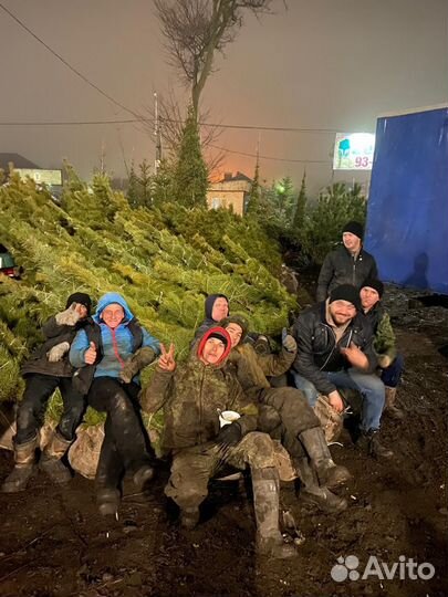 Разнорабочий с ежедневной оплатой