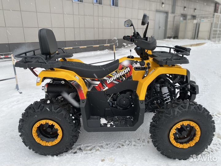 Квадроцикл Bison Warrior 200