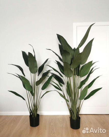 Искусственное дерево банановая пальма (стрелиция)