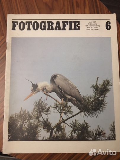 Фотография, 1987-1988 гг, журнал, Германия