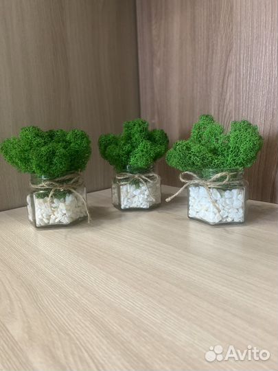 Декоративные цветы