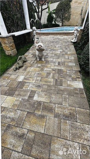 Тротуарная плитка и поребрик