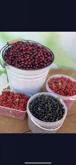 Дача 50 м² на участке 35 сот.