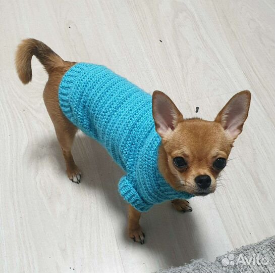 Свитер на собачку ручной работы