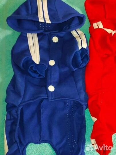 Одежда для собак мелких пород или кошек