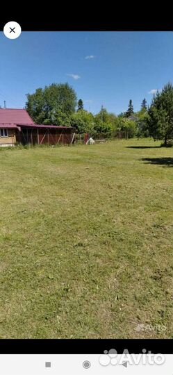 Покос травы триммером