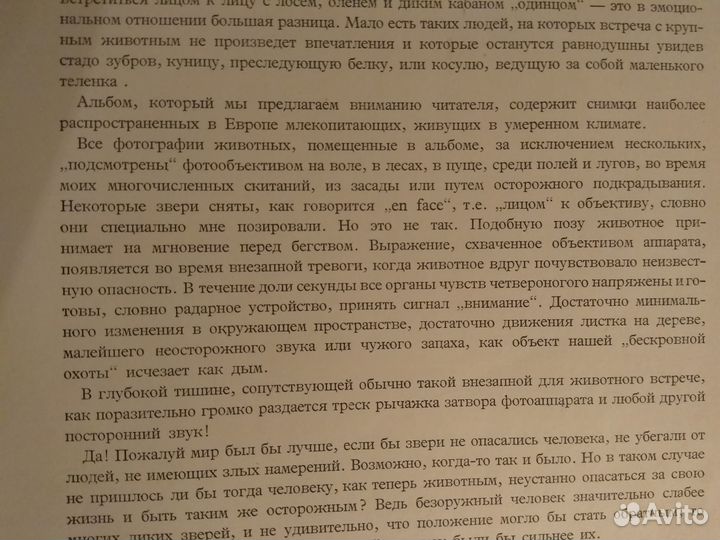 Влодзимеж Пухальский. Обитатели леса