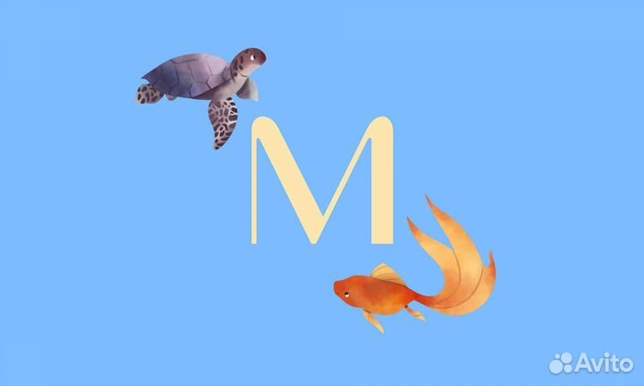 Музыкальные занятия