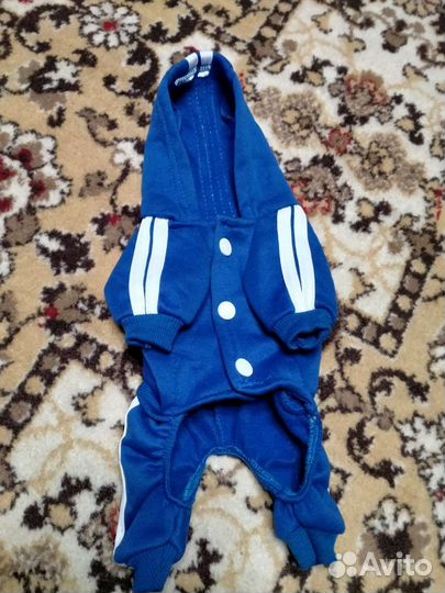 Комбинезон для маленькой собаки